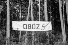 65080fbef0611_o_large