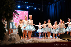 615899695_1324821036341287_8996885836231439460_n