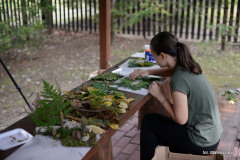 plener_042