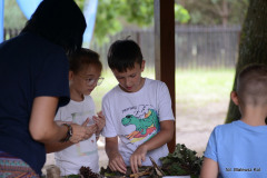 plener_070