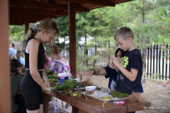 plener_075