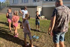 CC3FESi-